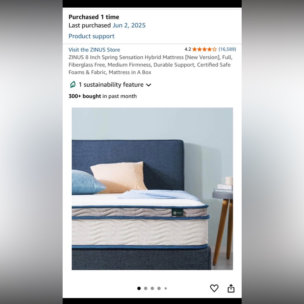 Premium Blue Mattress with Pillow
